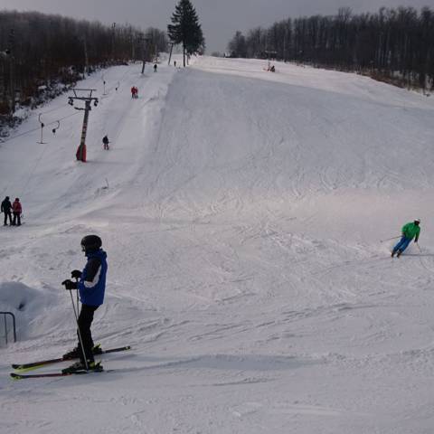 DŇA 1.3.2018 V PREVÁDZKE PEZINSKÁ BABA AJ ZOCHOVA CHATA.