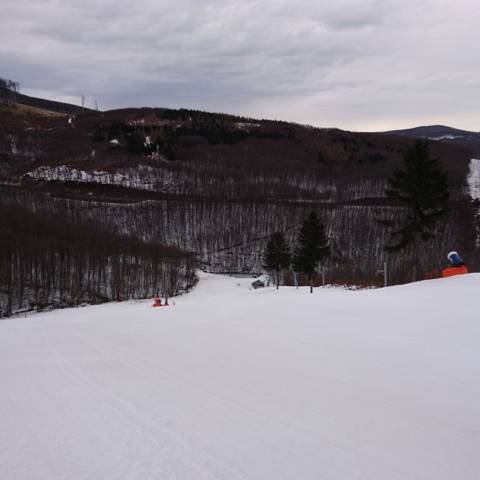 DŇA 9.3.2018 V PREVÁDZKE PEZINSKÁ BABA AJ ZOCHOVA CHATA.