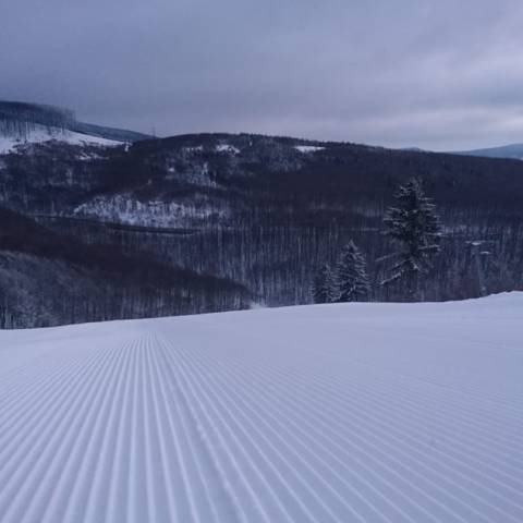 AKTUÁLNE INFORMÁCIE DŇA 29.1.2019