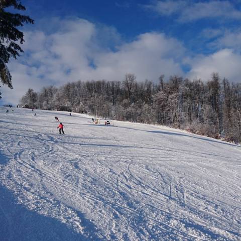 AKTUÁLNE INFORMÁCIE DŇA 30.1.2019