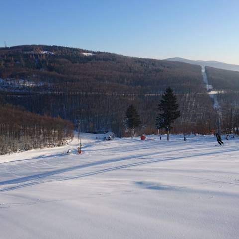 AKTUÁLNE INFORMÁCIE DŇA 31.1.2019