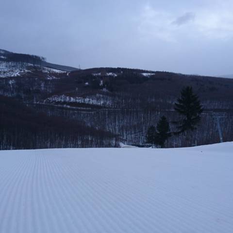 AKTUÁLNE INFORMÁCIE DŇA 12.2.2019