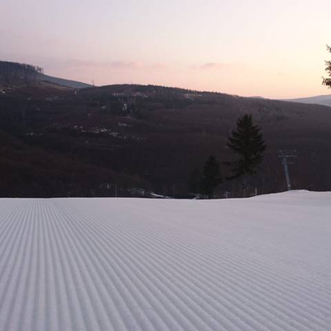 AKTUÁLNE INFORMÁCIE DŇA 20.2.2019