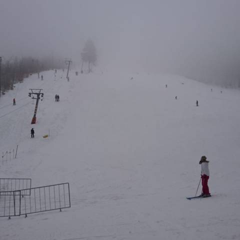 AKTUÁLNE INFORMÁCIE DŇA 1.2.2019