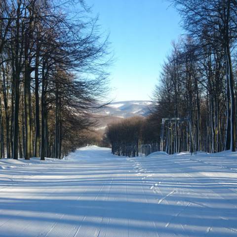 AKTUÁLNE INFORMÁCIE DŇA 9.2.2019