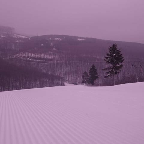 AKTUÁLNE INFORMÁCIE DŇA 8.2.2019