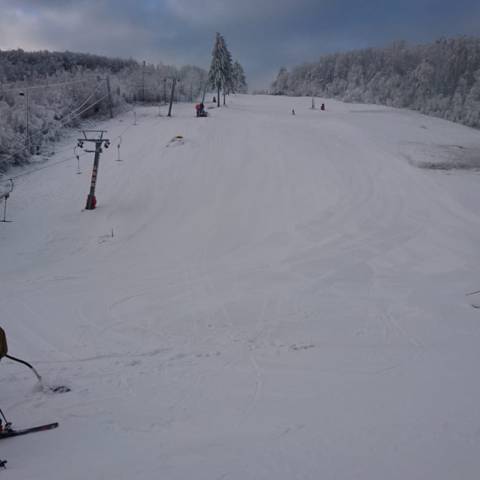 Znovu vidieť celý svah na Pezinskej Babe.