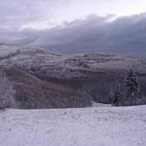 Prvý prírodný sneh v tejto zimnej sezóne.