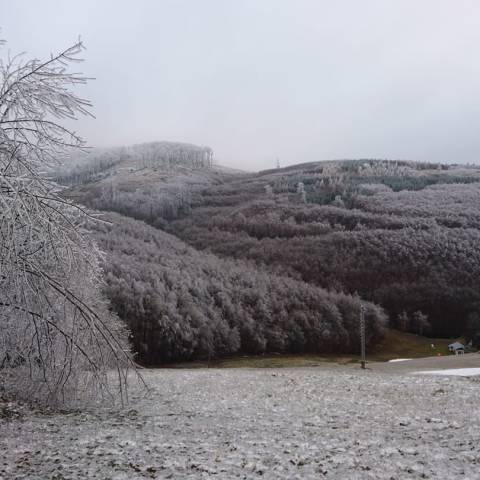 Ľadová krajina v Malých Karpatoch.