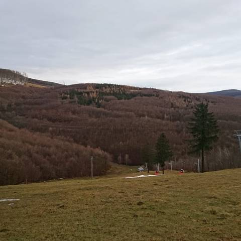 Extrémna teplota aj v Malých Karpatoch.