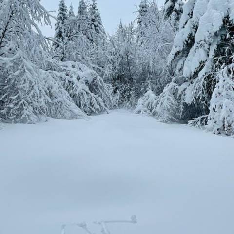 Lyžiarske strediská sú zatvorené až do odvolania.