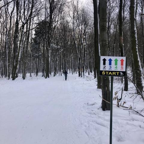 Bežkárske trate boli včera upravené.