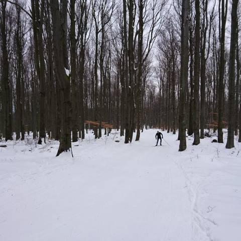 Nový sneh do 3 cm, ale aj oteplenie.