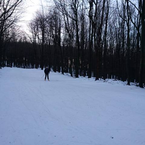 Bežkárske trate na Pezinskej Babe sú ešte stále zjazdné.