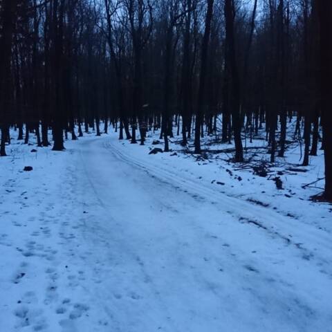 Bežkárske trate na Pezinskej Babe sú zjazdné už len pre nenáročných.