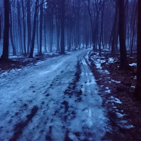 Po extrémnom oteplení zostali len nesúvislé zvyšky mokrého snehu.