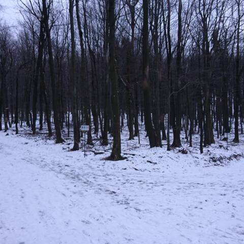Bežkárske trate na Pezinskej Babe sú len obmedzene zjazdné pre nenáročných a zdatných bežkárov.