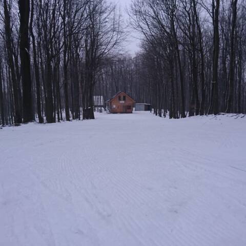 Výška prírodného snehu v lese je zatiaľ do 6 cm.