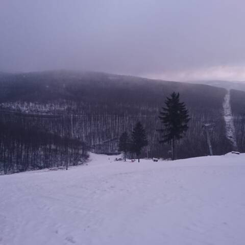 Od včera napadlo do 3 cm mokrého snehu.