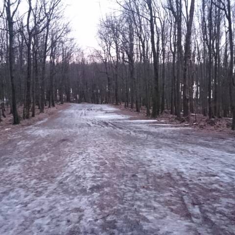 Po včerajšom daždi zostali len nesúvislé zvyšky snehu.