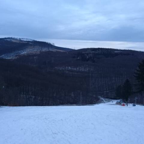Od včera napadol jemný poprašok snehu do 1 cm.