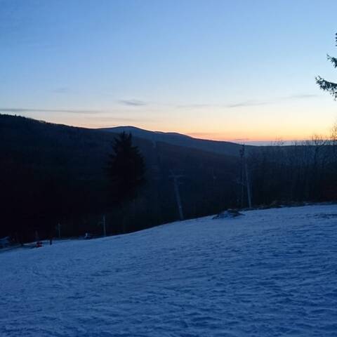 V lese zostali len nesúvislé zvyšky snehu.