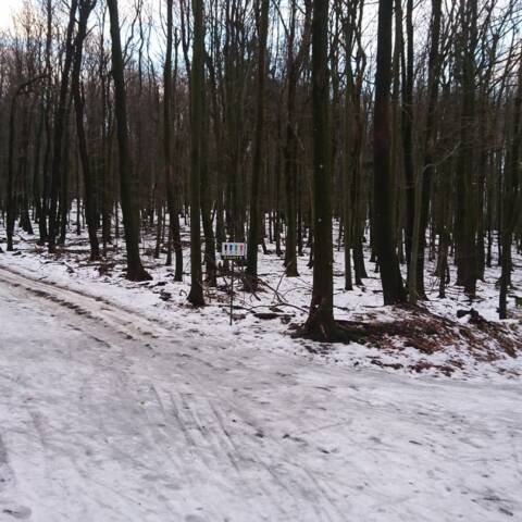 Po oteplení a daždi sneh výrazne ubudol.