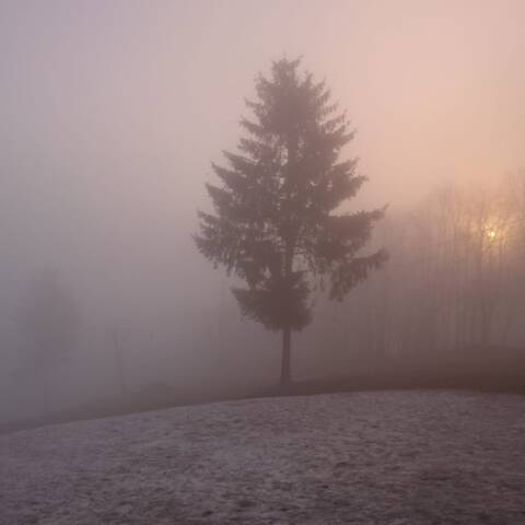 Ráno hmla aj slnko.