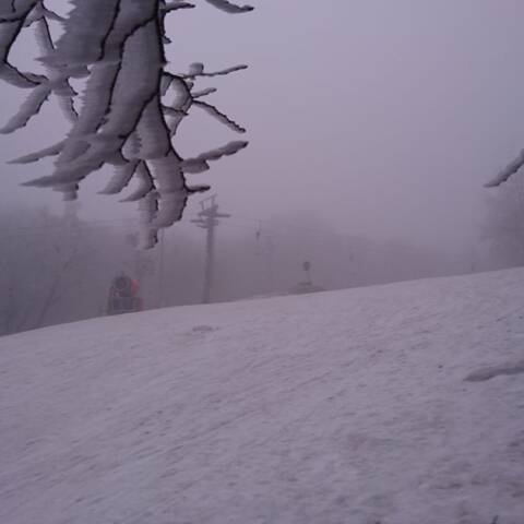 Pri hmle a slabom mraze sa vytvorila námraza a poľadovica.