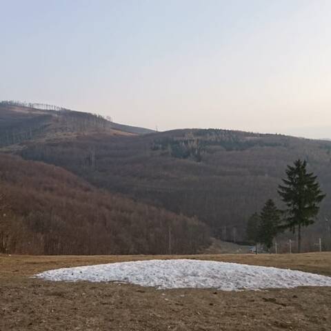 Nočné a ranné mrazy stále nepoľavujú.