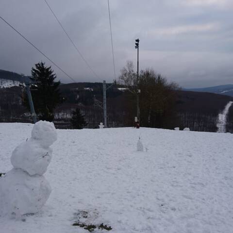 V lese je aj do 20 cm neutlačeného snehu.