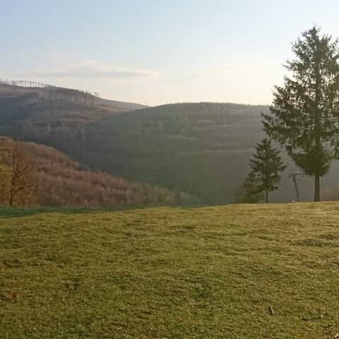 Po snehu z minulého týždňa nezostalo nič.