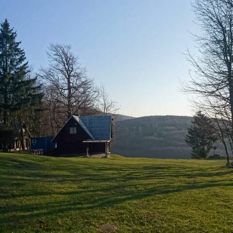 Už sa začína zelenať aj na Babe.