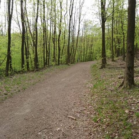 Skúšobná prevádzka prvého trailu spojená aj s prevádzkou vleku.