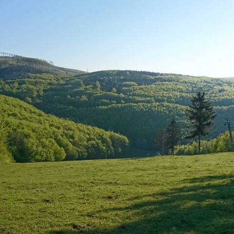 Dnes bude skúšobná prevádzka prvého trailu na Pezinskej Babe spojená s vývozom vlekom.