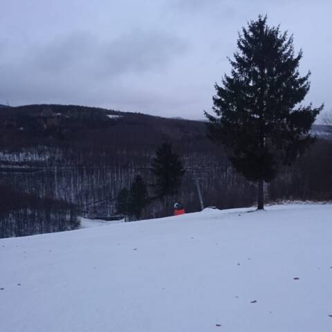 Pribudlo do 5 cm mokrého snehu.