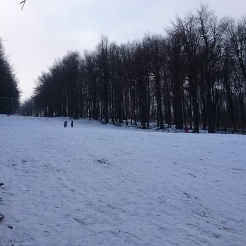 Sánkovať sa môžete na svahu pri vleku VL1000.