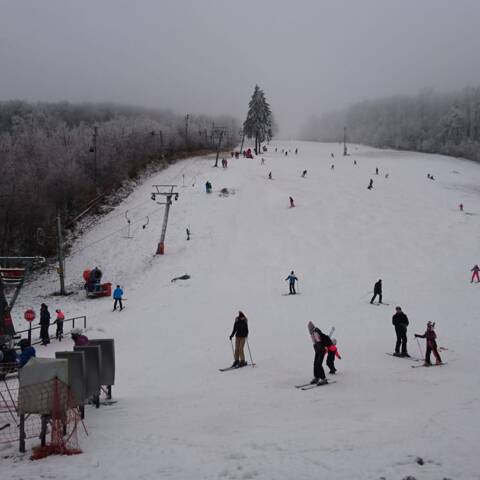 Denná prevádzka v oboch strediskách.