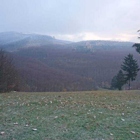 Dnes prvý mráz v prichádzajúcej zimnej sezóne.