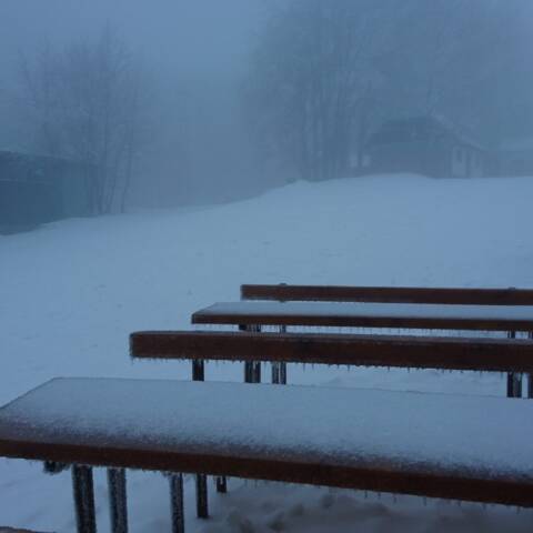 V noci snežilo, ale aj pršalo.