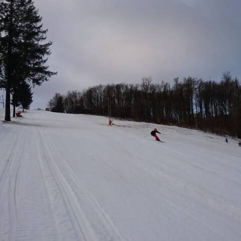 Po hmlistých dňoch je dnes krajšie počasie.