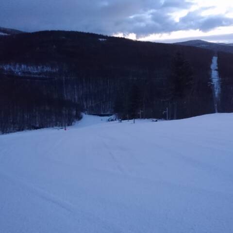 Napadol vlhký sneh do 2 cm.