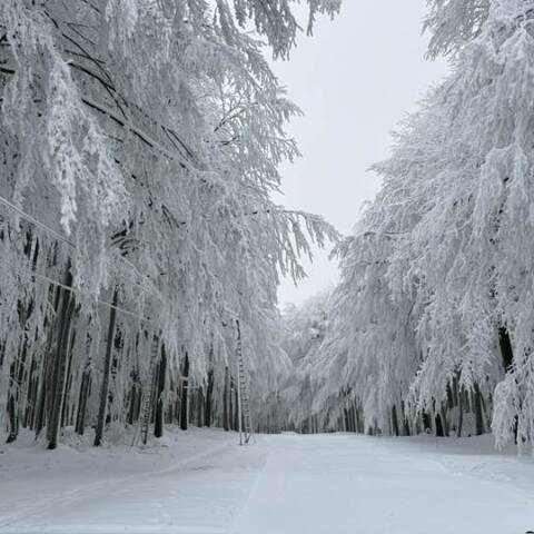 Dnes je denná prevádzka v oboch strediskách.