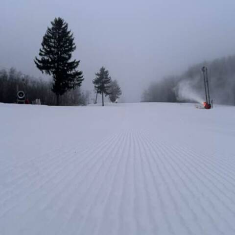 Denná aj večerná prevádzka.