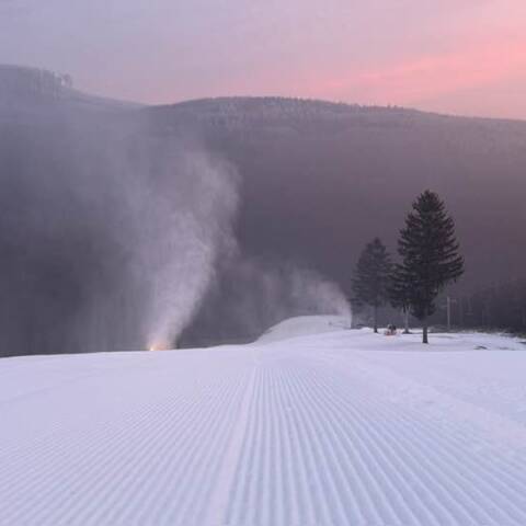 Denná aj večerná prevádzka.