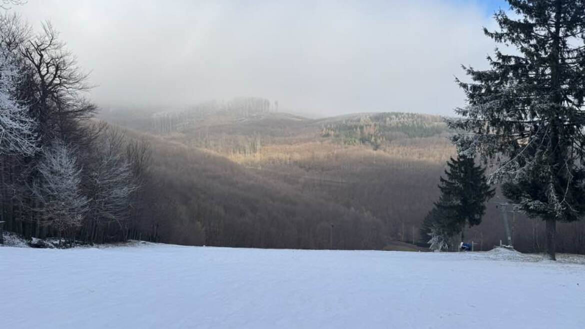 Natural snow and ice only persisted above sea level 550 m.