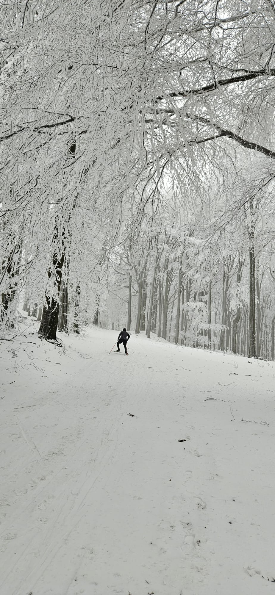 Informácia pre bežkárov.