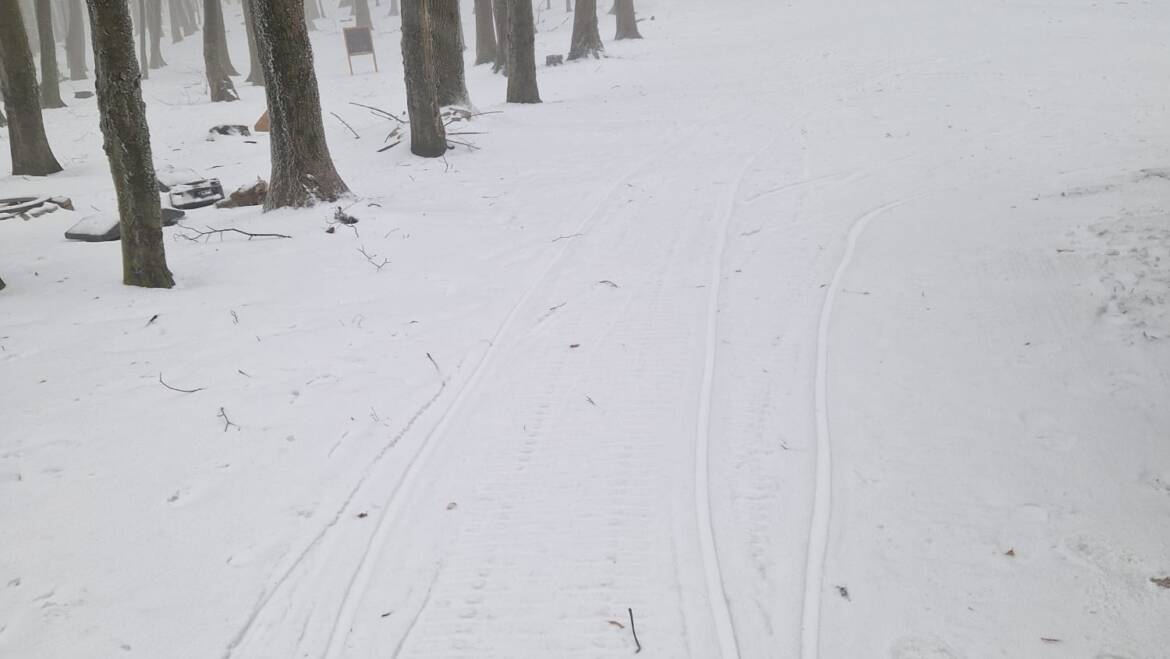 Bežkársky okruh v dĺžke 2 km na Pezinskej Babe.