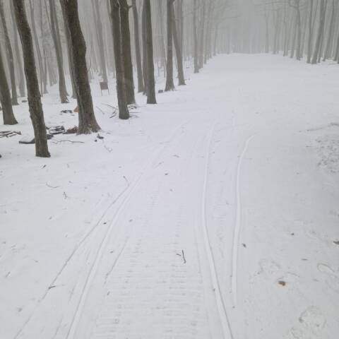 Bežkársky okruh v dĺžke 2 km na Pezinskej Babe.