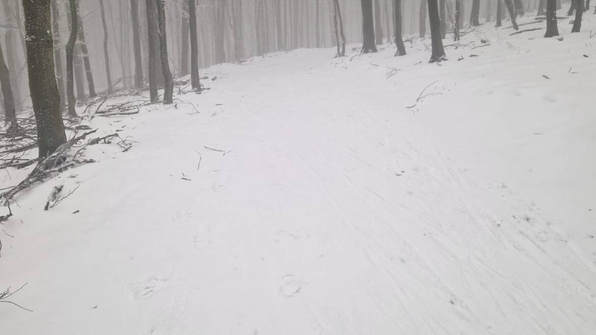 Pre bežkárov od OZ Bežky Baba.